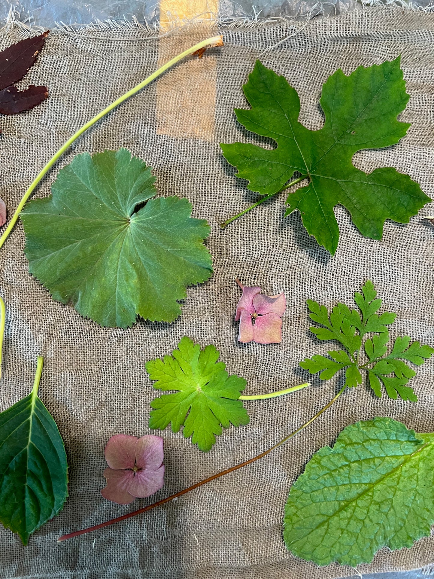 Echoes on Cloth and Paper